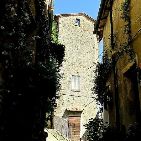 Andante Apartment Castelnuovo di Val di Cecina